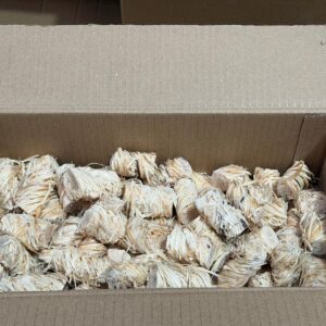 Box of 200 Eco Lighters